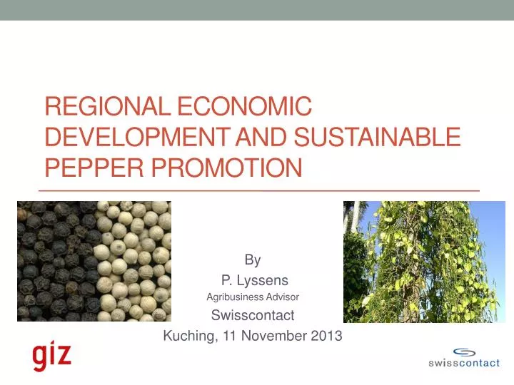 regional economic development and sustainable pepper promotion