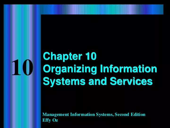 chapter 10 organizing information systems and services