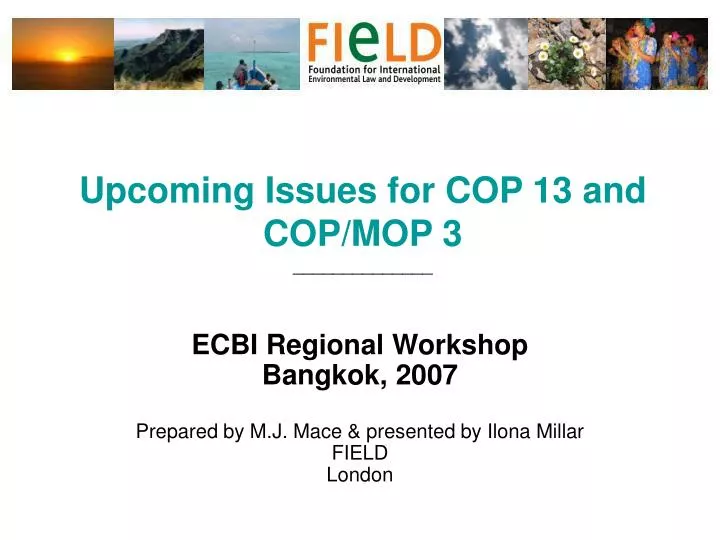 upcoming issues for cop 13 and cop mop 3
