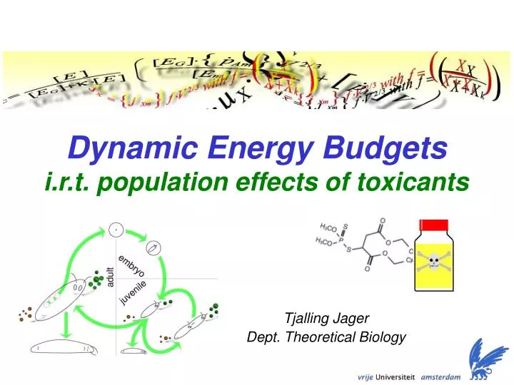 dynamic energy budgets i r t population effects of toxicants