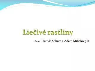 autori tom sobota a adam mihalov 3 b