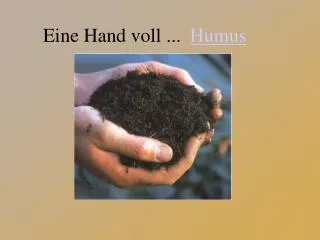 eine hand voll
