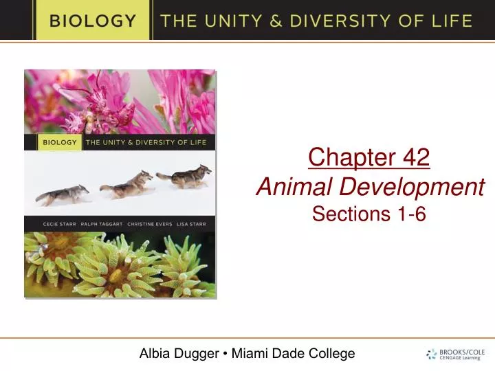 chapter 42 animal development sections 1 6
