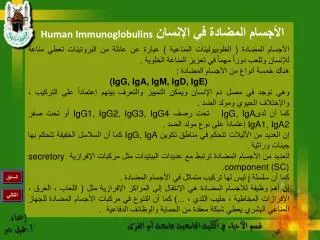 human immunoglobulins