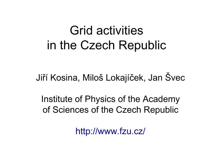 grid activities in the czech republic