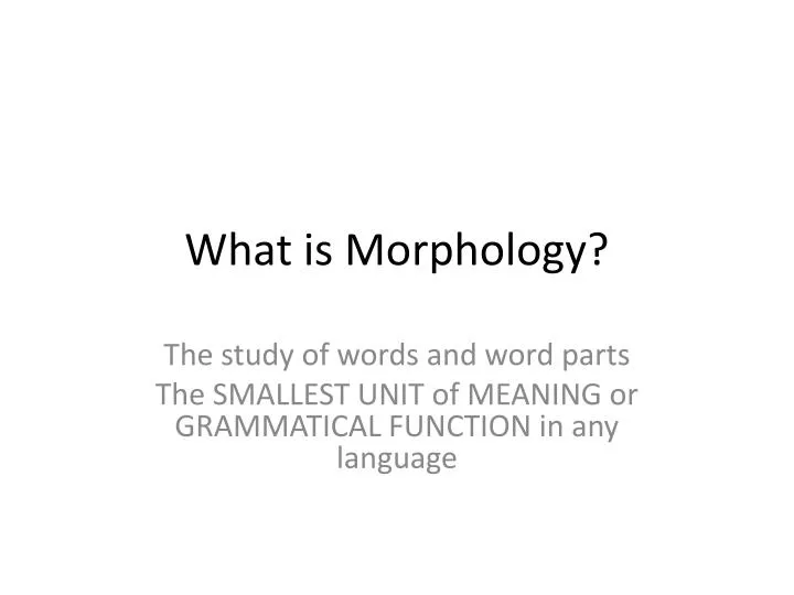what is morphology