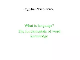 Cognitive Neuroscience