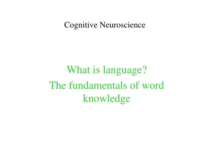 cognitive neuroscience