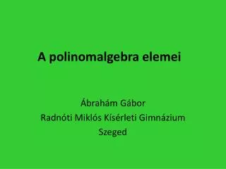a polinomalgebra elemei