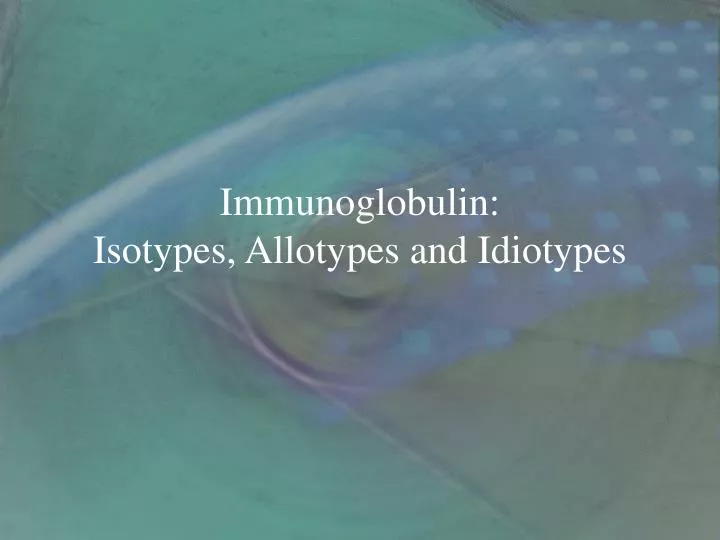 immunoglobulin isotypes allotypes and idiotypes