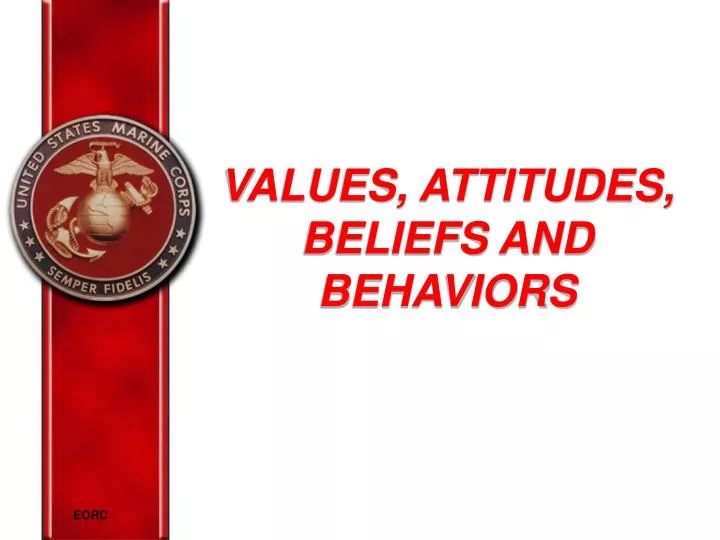values attitudes beliefs and behaviors