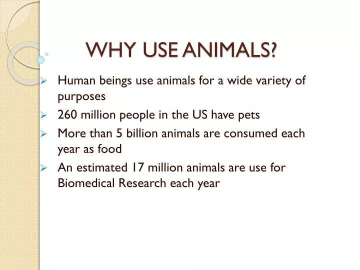 why use animals