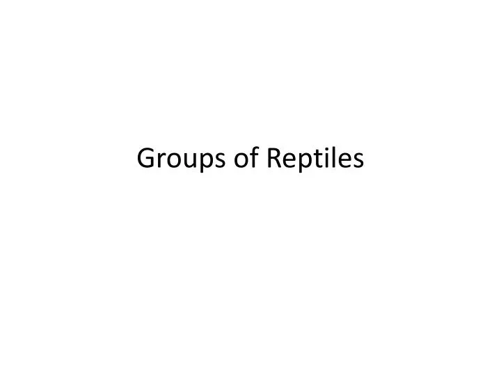 groups of reptiles