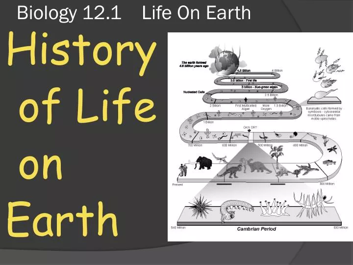 biology 12 1 life on earth