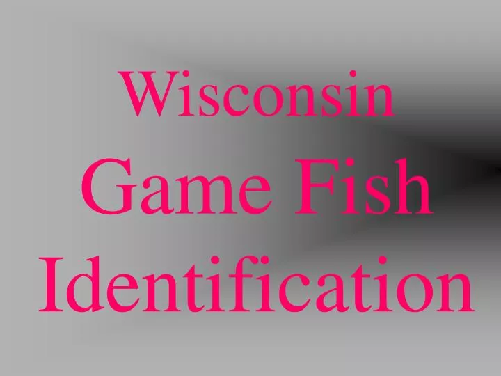 wisconsin game fish identification