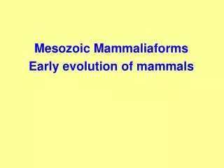 Mesozoic Mammaliaforms Early evolution of mammals