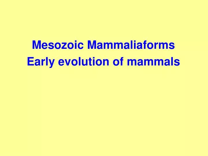 mesozoic mammaliaforms early evolution of mammals