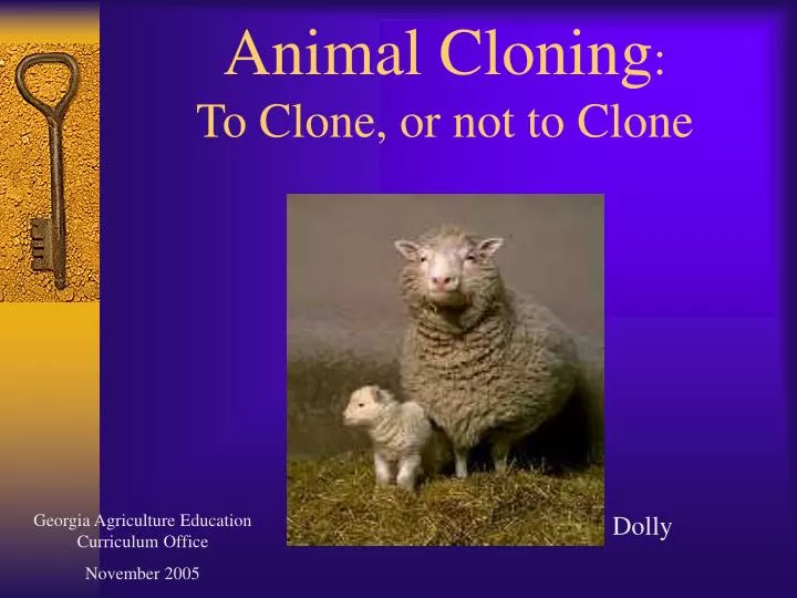 animal cloning to clone or not to clone