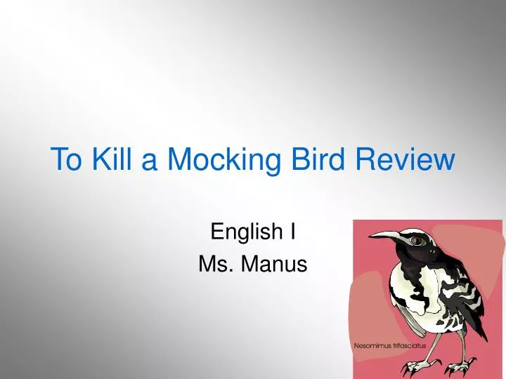 to kill a mocking bird review