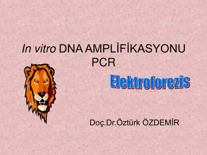 in vitro dna ampl f kasyonu pcr