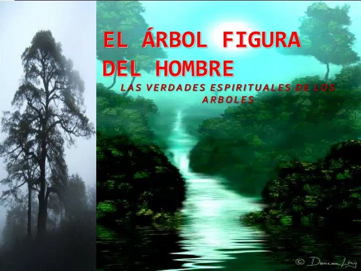 las verdades espirituales de los arboles