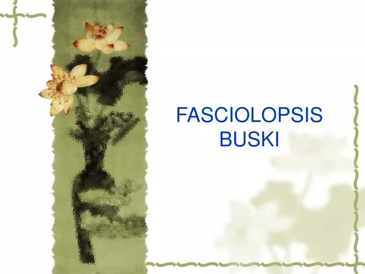 fasciolopsis buski