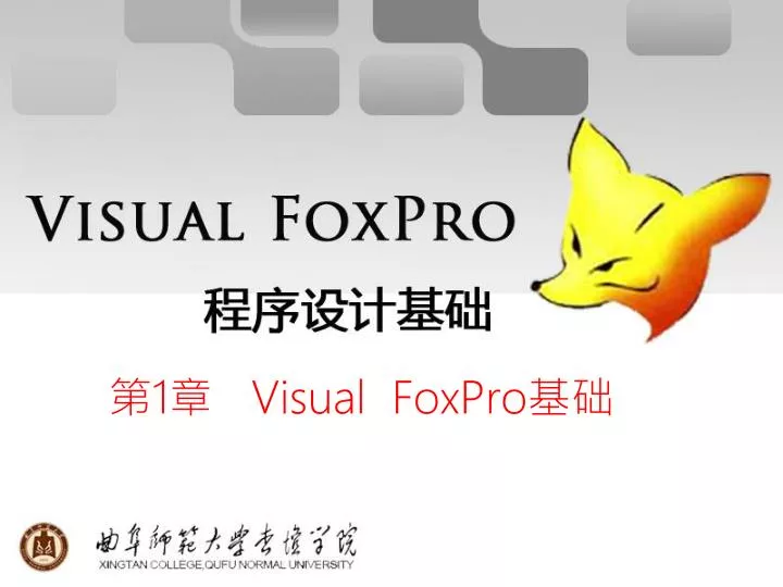 1 visual foxpro