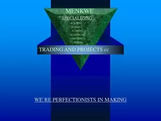 WE`RE PERFECTIONISTS IN MAKING