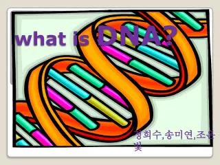 what is dna