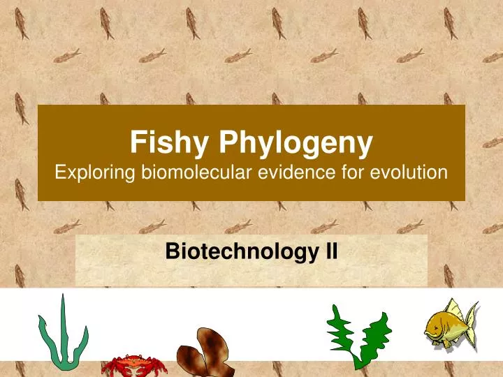 fishy phylogeny exploring biomolecular evidence for evolution