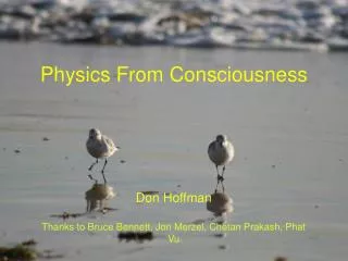 Physics From Consciousness