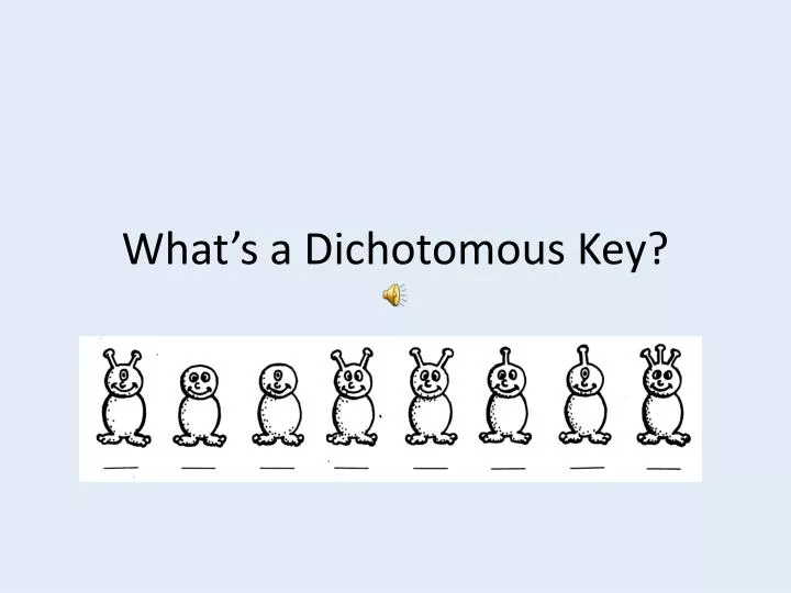 what s a dichotomous key