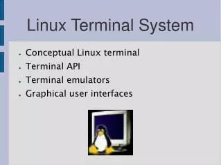 Linux Terminal System