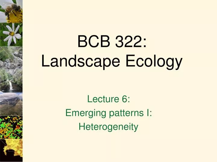 bcb 322 landscape ecology