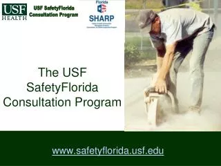The USF SafetyFlorida Consultation Program