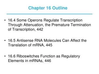 Chapter 16 Outline