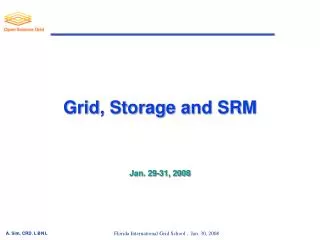 Grid, Storage and SRM Jan. 29-31, 2008