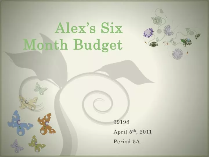 alex s six month budget