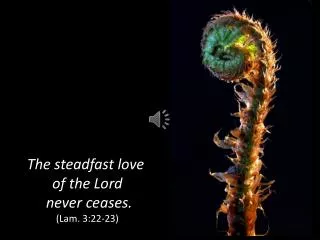 The steadfast love of the Lord never ceases. (Lam. 3:22-23)