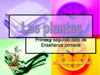 primer y segundo ciclo de ense anza primaria