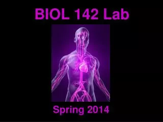 BIOL 142 Lab