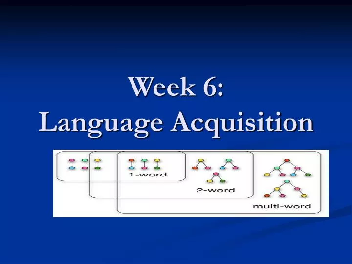week 6 language acquisition