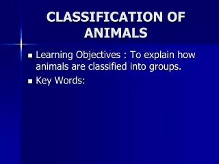 CLASSIFICATION OF ANIMALS