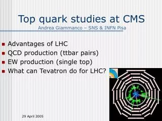 Top quark studies at CMS