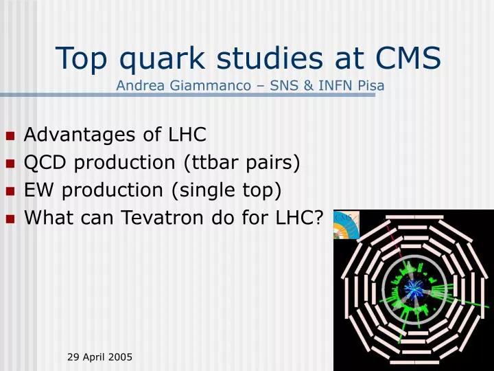 top quark studies at cms