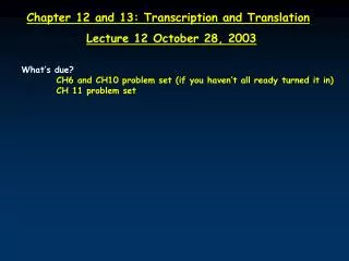 Chapter 12 and 13: Transcription and Translation Lecture 12 October 28, 2003