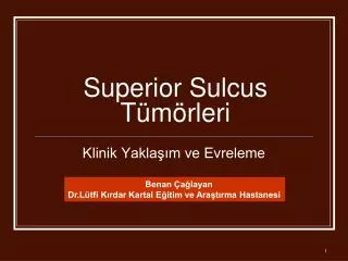 superior sulcus t m rleri