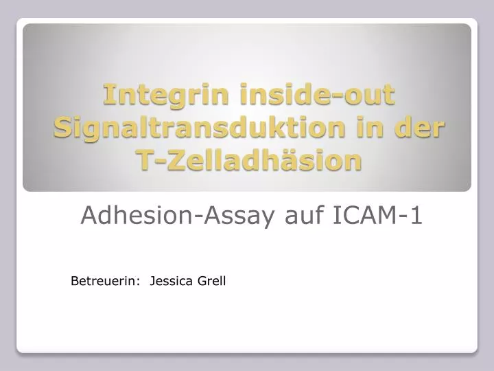 integrin inside out signaltransduktion in der t zelladh sion