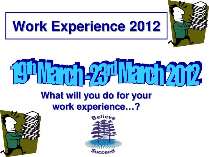 work experience 2012