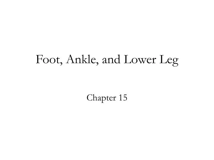 foot ankle and lower leg